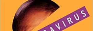 Unleashing The Ideavirus by Seth Godin