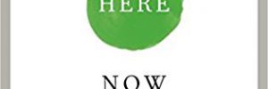 Start Here Now by Susan Piver