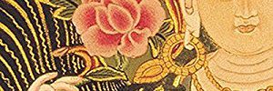 The Pema Chodron Audio Collection by Pema Chodron
