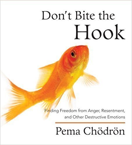 Don't Bite the Hook by Pema Chodron