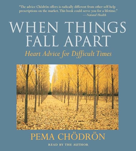 When Things Fall Apart book cover