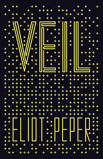 Veil book cover